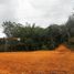 Terrain à vendre à Rionegro, Antioquia, Rionegro