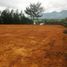Terrain à vendre à Rionegro, Antioquia, Rionegro
