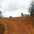 Terrain à vendre à Rionegro, Antioquia, Rionegro