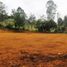 Terrain à vendre à Rionegro, Antioquia, Rionegro