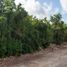  Terreno (Parcela) en venta en Cancún, Quintana Roo, Cancún