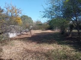  Land for sale in Santa Maria, Cordoba, Santa Maria