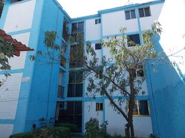 3 Habitación Apartamento en venta en Coyoacan, Ciudad de México, Coyoacan