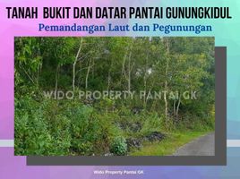  Land for sale in Yogyakarta, Tepus, Gunung Kidul, Yogyakarta