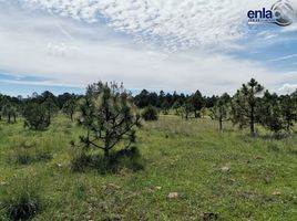  Grundstück zu verkaufen in Durango, Durango, Durango, Durango, Mexiko