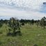  Land for sale in Durango, Durango, Durango, Durango