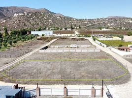  Grundstück zu verkaufen in Ensenada, Baja California, Ensenada