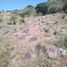  Terreno (Parcela) en venta en Talpa De Allende, Jalisco, Talpa De Allende