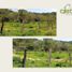  Terrain for sale in Cabo Corrientes, Jalisco, Cabo Corrientes