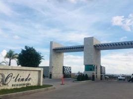  Grundstück zu verkaufen in Irapuato, Guanajuato, Irapuato