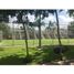 2 Habitación Apartamento en alquiler en Isla Mujeres, Quintana Roo, Isla Mujeres