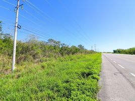 Terrain à vendre à Motul, Yucatan, Motul