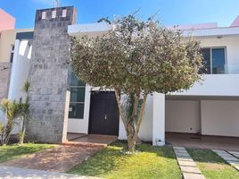 3 Schlafzimmer Wohnung zu verkaufen in Zapopan, Jalisco, Zapopan