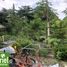  Land for sale in Cordova, Central Visayas, Cordova