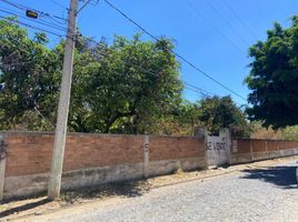 Terrain à vendre à Zapopan, Jalisco, Zapopan, Jalisco