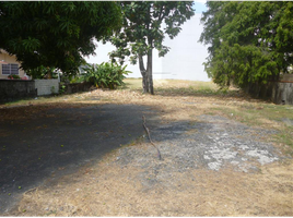  Terreno (Parcela) en alquiler en Panamá, San Francisco, Ciudad de Panamá, Panamá