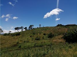  Land for sale in Marinilla, Antioquia, Marinilla