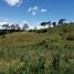  Land for sale in Marinilla, Antioquia, Marinilla