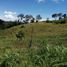  Land for sale in Marinilla, Antioquia, Marinilla