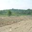  Land for sale in Yogyakarta, Pengasih, Kulon Progo, Yogyakarta