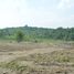  Land for sale in Pengasih, Kulon Progo, Pengasih