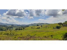  Land for sale in River View Park, Cali, Cali