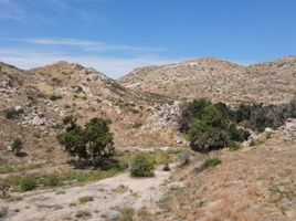 Studio Haus zu verkaufen in Tecate, Baja California, Tecate