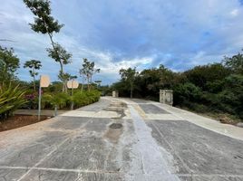  Grundstück zu verkaufen in Conkal, Yucatan, Conkal