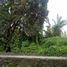 Terreno (Parcela) en venta en Pakem, Yogyakarta, Pakem, Sleman