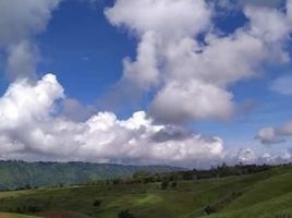  Grundstück zu verkaufen in Claveria, Northern Mindanao, Claveria, Misamis Oriental