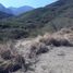 Terrain à vendre à Monterrey, Nuevo Leon, Monterrey