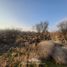  Terreno (Parcela) en venta en Colina, Chacabuco, Colina