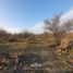  Terreno (Parcela) en venta en Colina, Chacabuco, Colina
