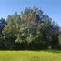 4 chambre Maison for sale in Ancud, Chiloe, Ancud