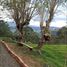 4 chambre Villa for sale in Boyaca, Saboya, Boyaca