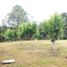  Land for sale in Chamula, Chiapas, Chamula