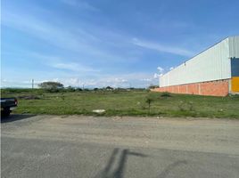  Land for sale in Palmira, Valle Del Cauca, Palmira