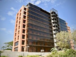 426.98 m2 Office for rent in Tamaulipas, Altamira, Tamaulipas