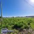  Land for sale in Talca Maule, San Clemente, Talca