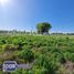  Land for sale in Talca Maule, San Clemente, Talca