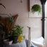3 Schlafzimmer Villa zu verkaufen in Moron, Buenos Aires, Moron