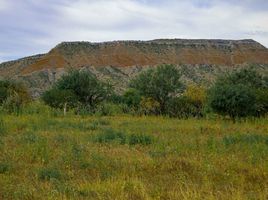  Terreno (Parcela) en venta en La Paz, Baja California Sur, La Paz, Baja California Sur