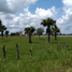 4 Bedroom House for sale in Carmen, Campeche, Carmen, Campeche