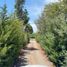  Terreno (Parcela) en venta en Maule, San Javier, Linares, Maule