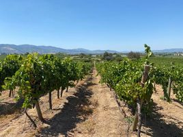  Terreno (Parcela) en venta en Maule, San Javier, Linares, Maule