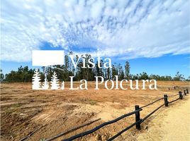  Terreno (Parcela) en venta en Cardenal Caro, Libertador General Bernardo O'Higgins, Navidad, Cardenal Caro