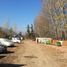  Land for rent in Chile, Requinao, Cachapoal, Libertador General Bernardo Ohiggins, Chile