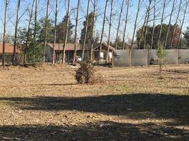  Land for rent in Chile, Requinao, Cachapoal, Libertador General Bernardo Ohiggins, Chile