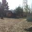  Land for rent in Chile, Requinao, Cachapoal, Libertador General Bernardo Ohiggins, Chile