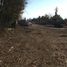  Land for rent in Chile, Requinao, Cachapoal, Libertador General Bernardo Ohiggins, Chile